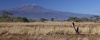 Kilimanjaro z keňské strany, Tsavo, Keňa