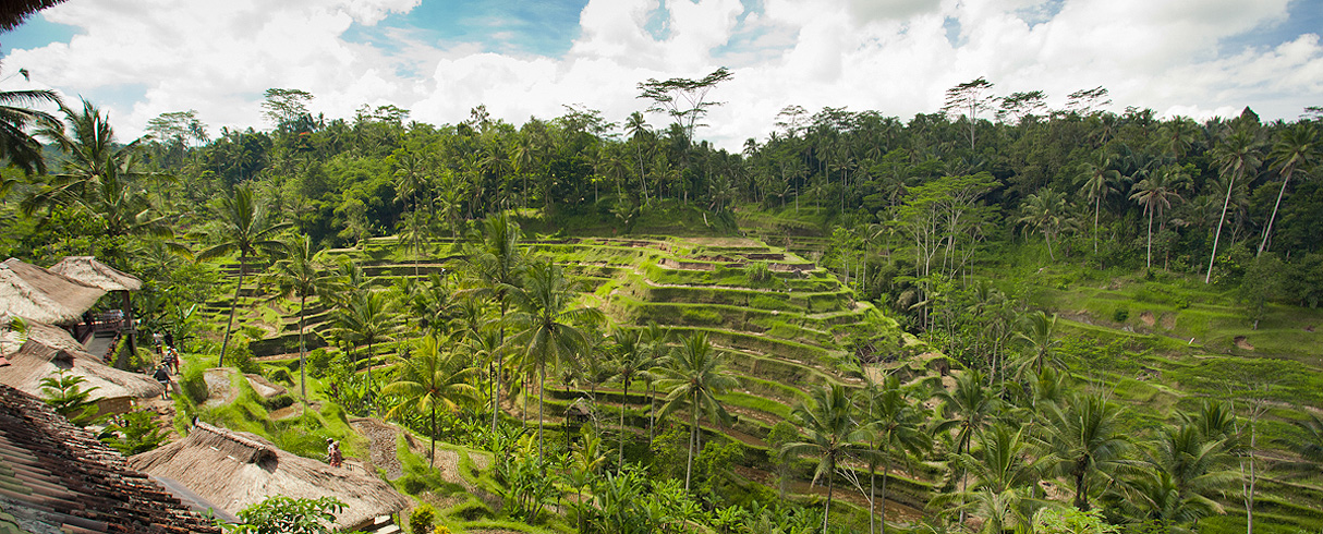 Rýžová pole Tegalalang, Bali, Indonésie