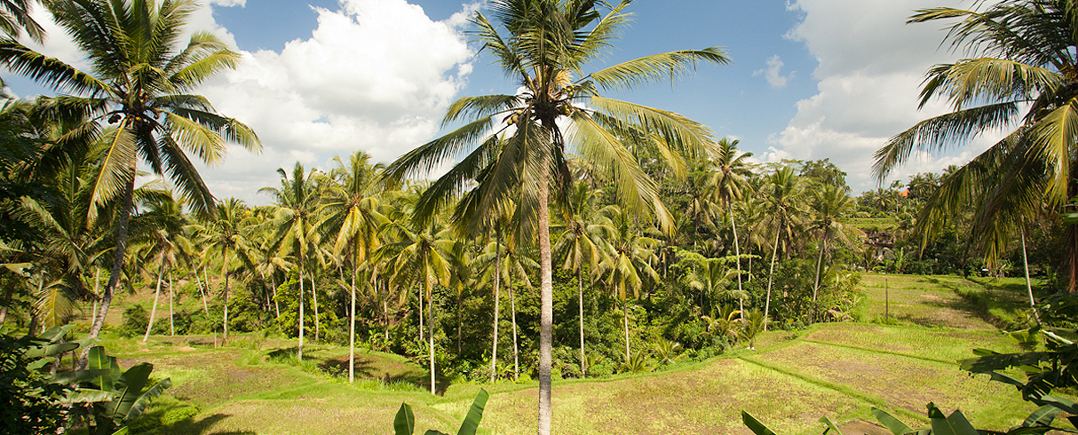 Keliki, Bali, Indonésie