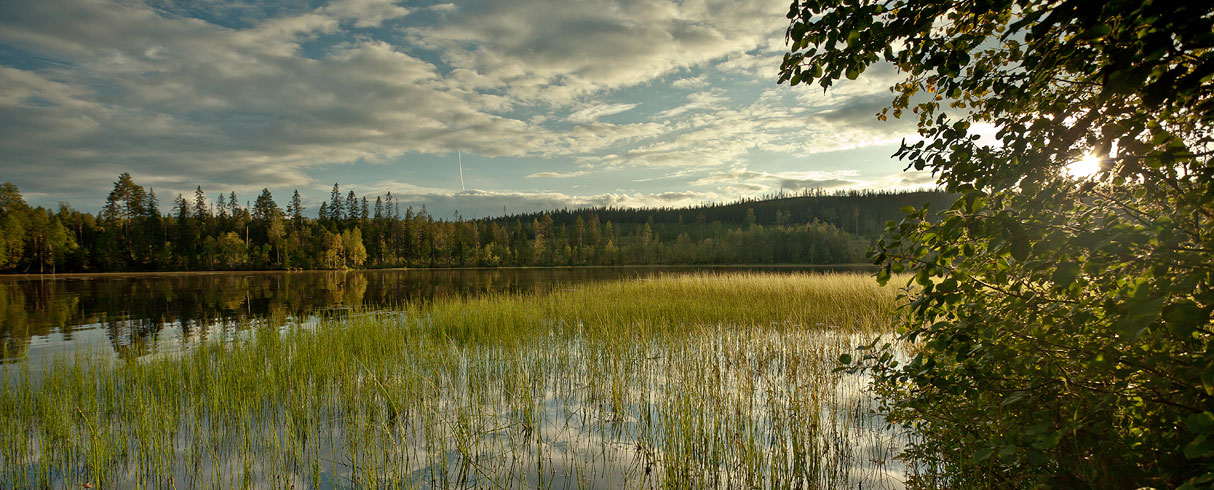 Jezero Bygdeträsket - Švédsko