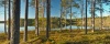 Panenská příroda u jezera Tallträsket - Švédsko