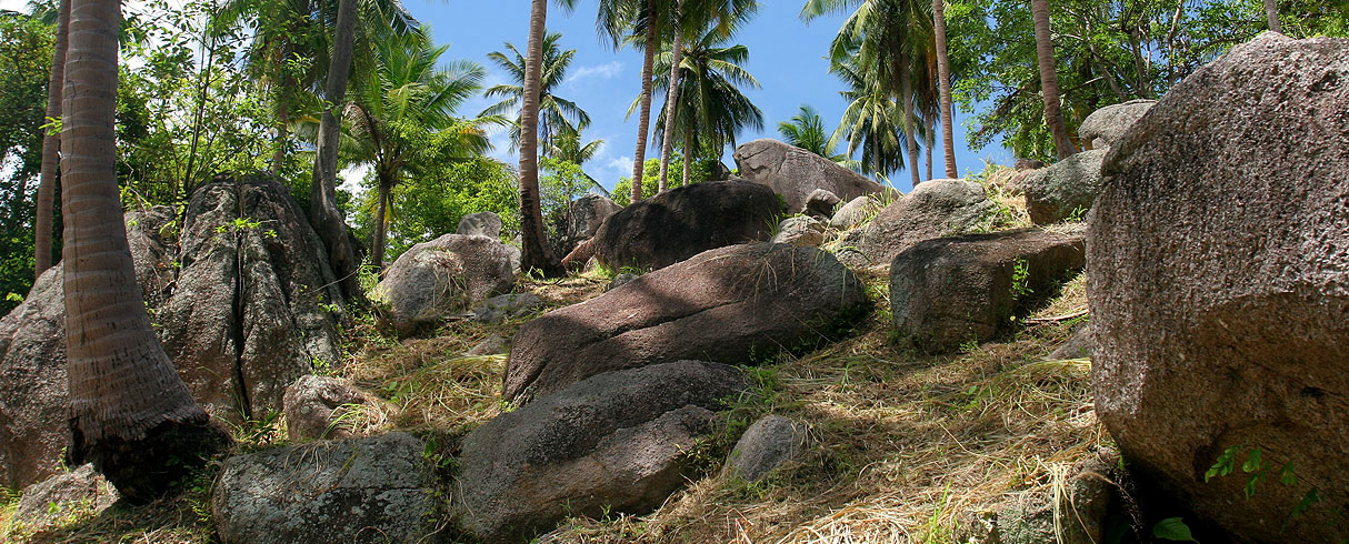 Nahoru kopcem na ostrově Koh Tao, Thajsko